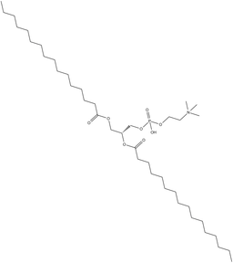 1,2-Dipalmitoyl-sn-glycero-3-PC
