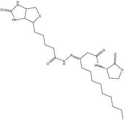 N-dodecanoyl-L-Homoserine lactone-3-hydrazone-biotin