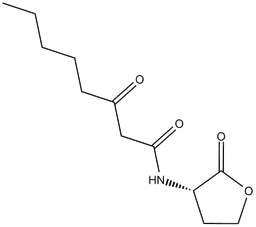 N-3-oxo-octanoyl-L-Homoserine lactone