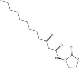 N-3-oxo-dodecanoyl-L-Homoserine lactone