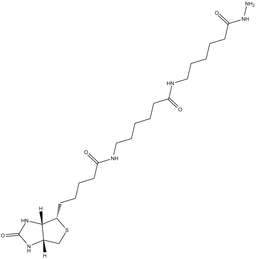 Biotin-XX hydrazide