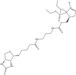 DEPMPO-biotin