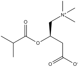 Isobutyryl-L-carnitine