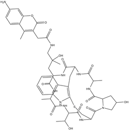 Phalloidin-AMCA Conjugate