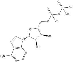 Adenosine-5'-diphosphate