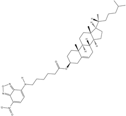3-hexanoyl-NBD Cholesterol