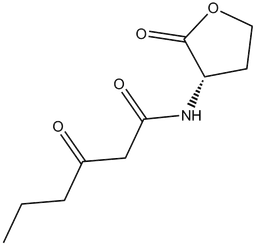N-(β-ketocaproyl)-L-Homoserine lactone