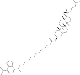3-dodecanoyl-NBD Cholesterol