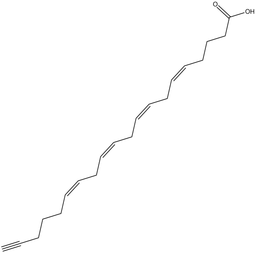 Arachidonic Acid Alkyne