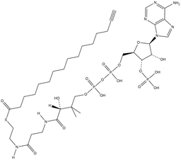 Palmitoyl Alkyne-Coenzyme A