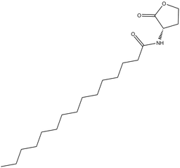 N-pentadecanoyl-L-Homoserine lactone