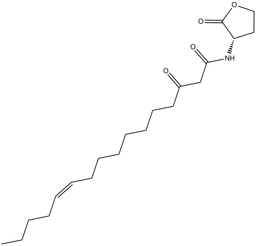 N-3-oxo-hexadec-11(Z)-enoyl-L-Homoserine lactone