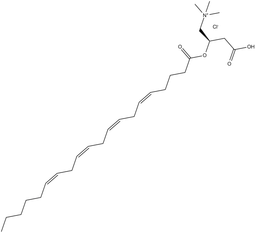 L-Arachidonoylcarnitine (chloride)
