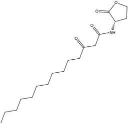 N-3-oxo-tetradecanoyl-L-Homoserine lactone
