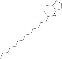 N-tetradecanoyl-L-Homoserine lactone