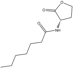 N-heptanoyl-L-Homoserine lactone