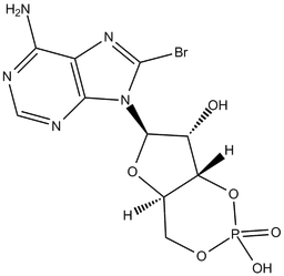 8-bromo-Cyclic AMP