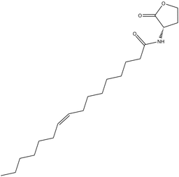 N-cis-hexadec-9Z-enoyl-L-Homoserine lactone