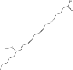 15(S)-HpETE