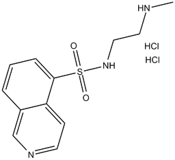 H-8 (hydrochloride)