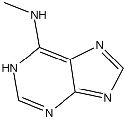 N6-Methyladenine