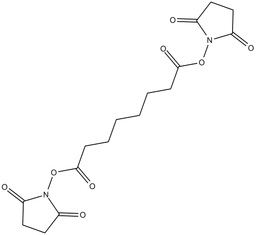 Disuccinimidyl Suberate