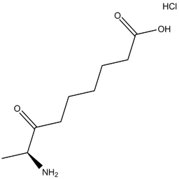 KAPA (hydrochloride)
