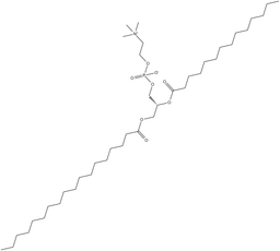 1-Stearoyl-2-myristoyl-sn-glycero-3-PC