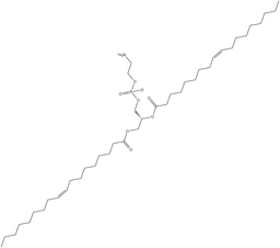 1,2-Dioleoyl-sn-glycero-3-PE