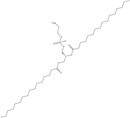 1,2-Dipalmitoyl-sn-glycero-3-PE
