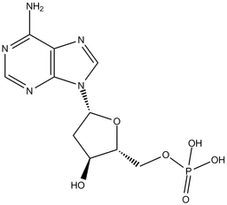 2'-Deoxyadenosine-5'-monophosphate