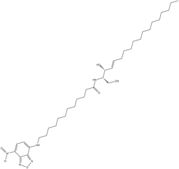 C-12 NBD Ceramide