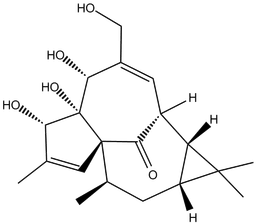 Ingenol
