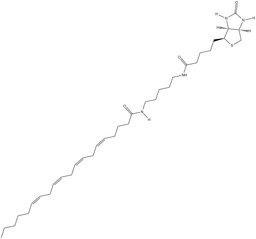 Arachidonic Acid-biotin