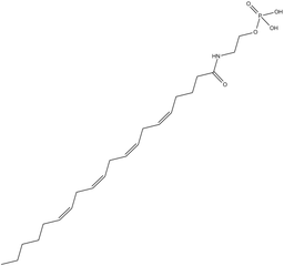 Arachidonoyl Ethanolamide Phosphate
