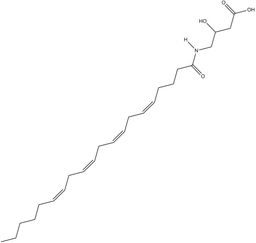 N-Arachidonoyl-3-hydroxy-γ-Aminobutyric Acid