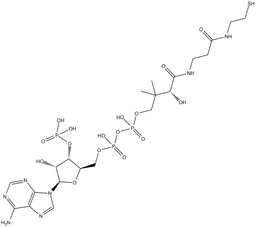 Coenzyme A