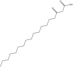 3-oxo Stearic Acid