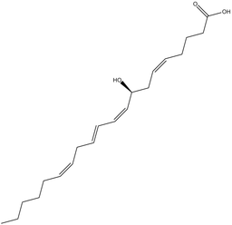 8(S)-HETE