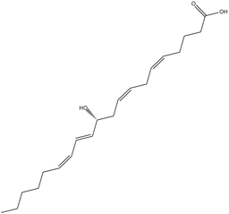 11(R)-HETE