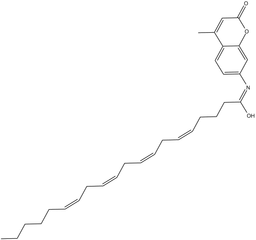 AMC Arachidonoyl Amide