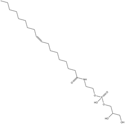 Glycerophospho-N-Oleoyl Ethanolamine