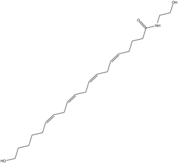20-HETE Ethanolamide