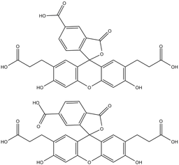 BCECF