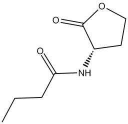 N-butyryl-L-Homoserine lactone