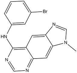 BPIQ-I
