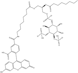 PtdIns-(4,5)-P2-fluorescein (ammonium salt)