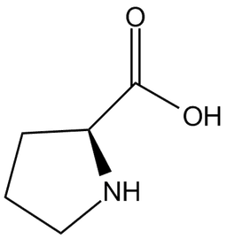 L-Proline