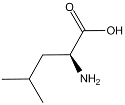L-Leucine