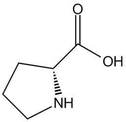 D-Proline